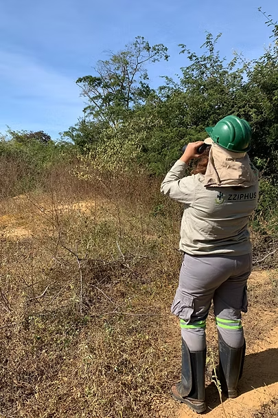 Monitoramento Biológico
